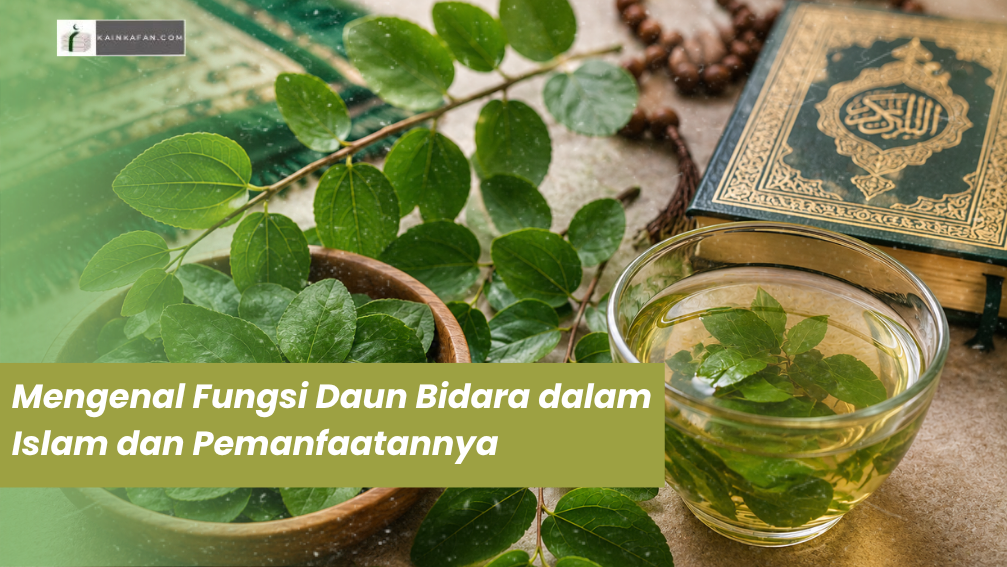 Mengenal Fungsi Daun Bidara dalam Islam dan Pemanfaatannya